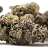 Premium Berry Blast THCa flower bud with dense trichomes