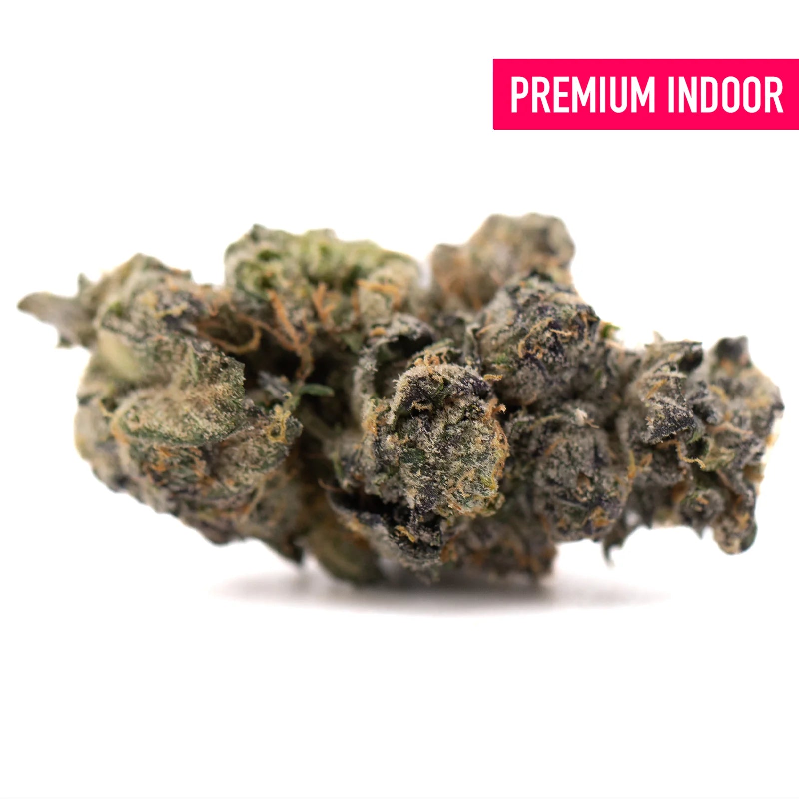 Premium Berry Blast THCa flower bud with dark green hues and trichomes