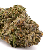 Biscotti THCa Hemp Flower Greenhouse - Plants