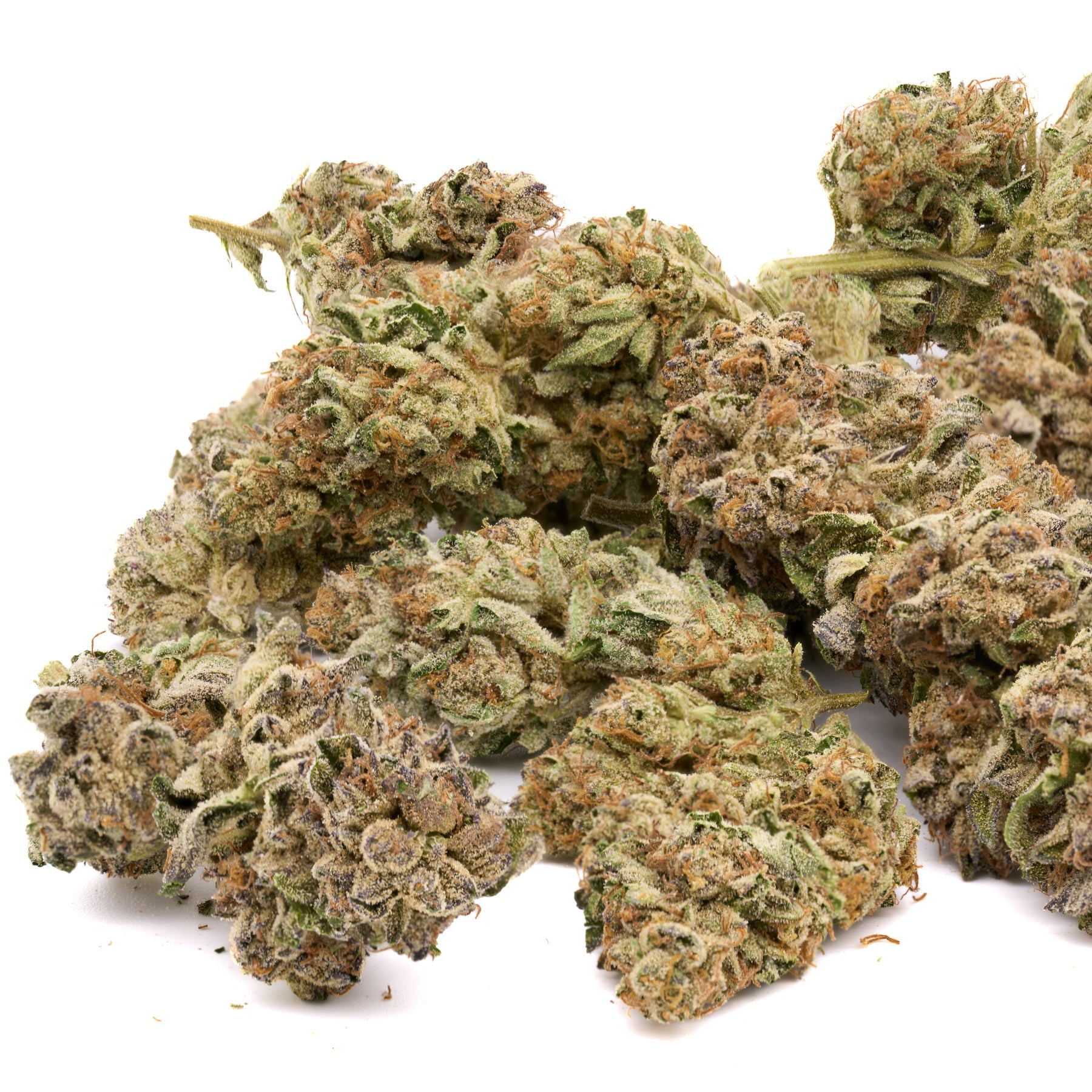 Biscotti THCa Hemp Flower Greenhouse - Plants