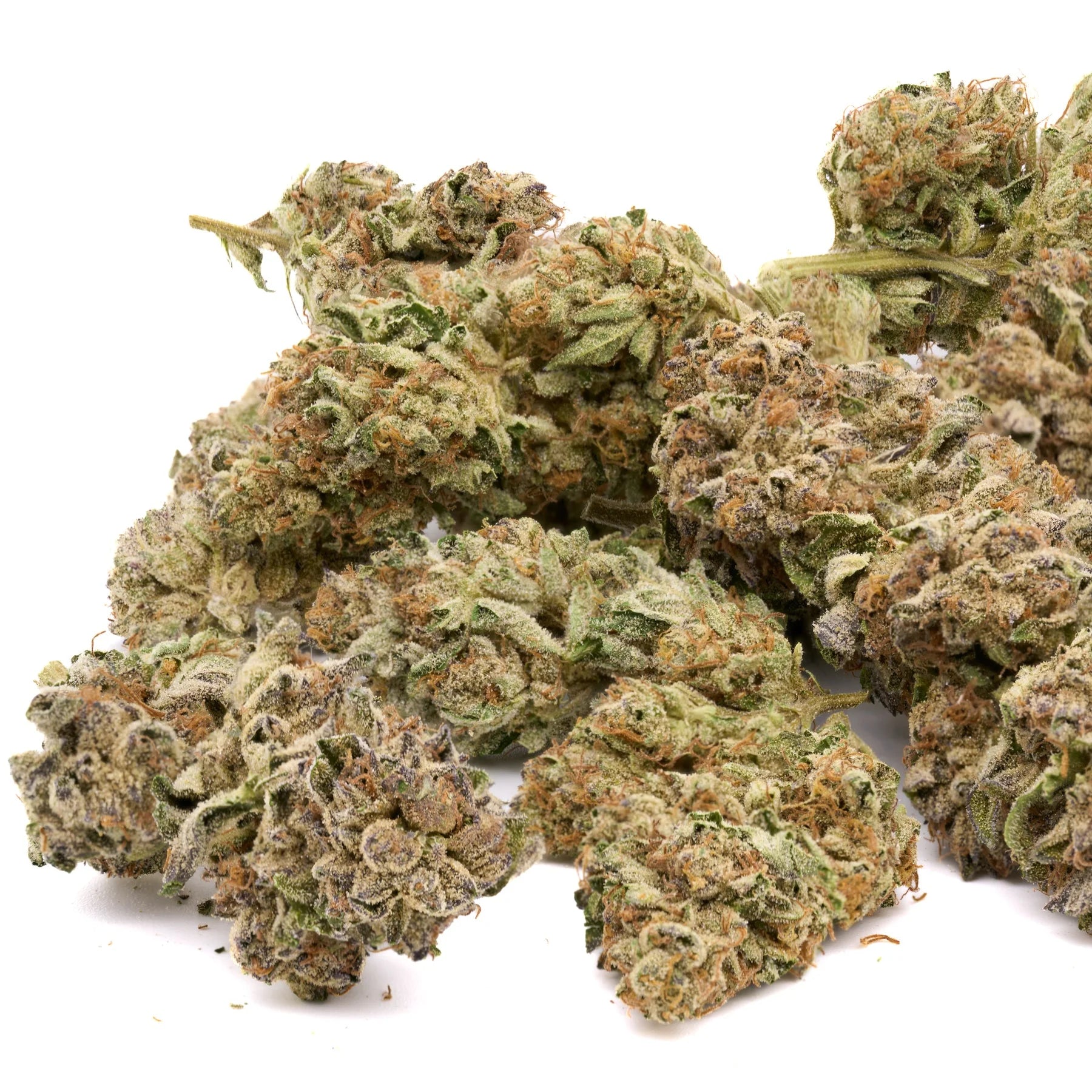 Biscotti THCa Hemp Flower Greenhouse - Plants