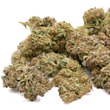 Biscotti THCa Hemp Flower Greenhouse - Plants