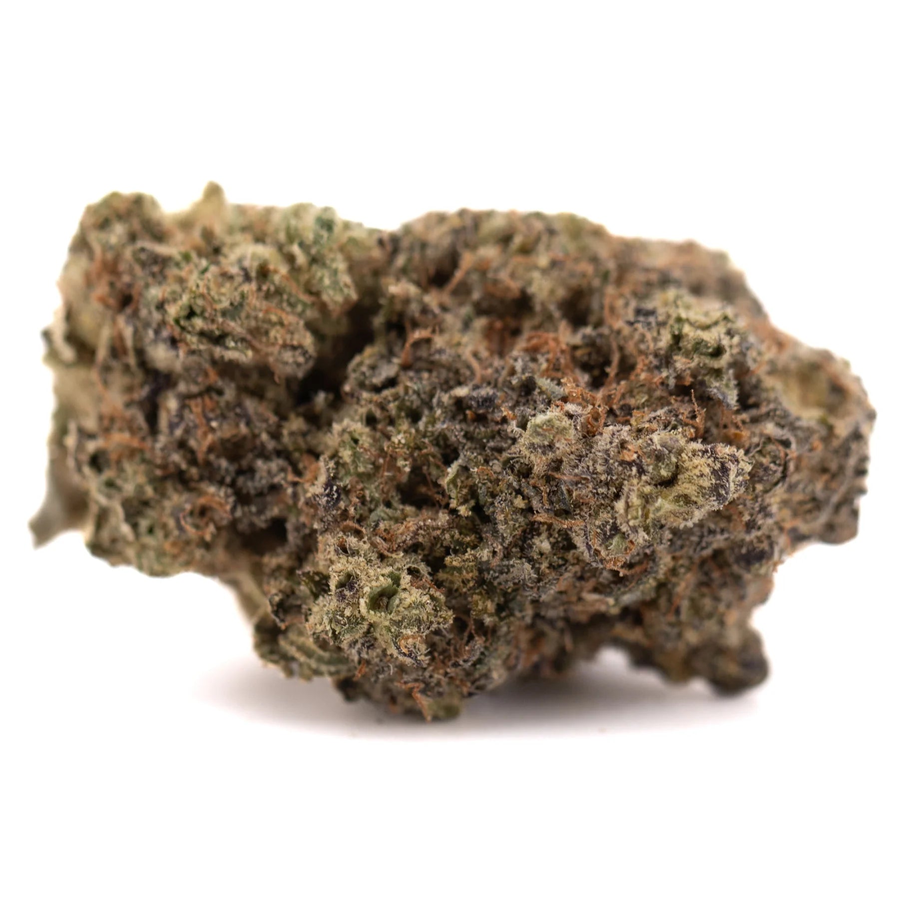A dense black amber indoor thca flower bud with textured green brown and orange hues in an irregular shape