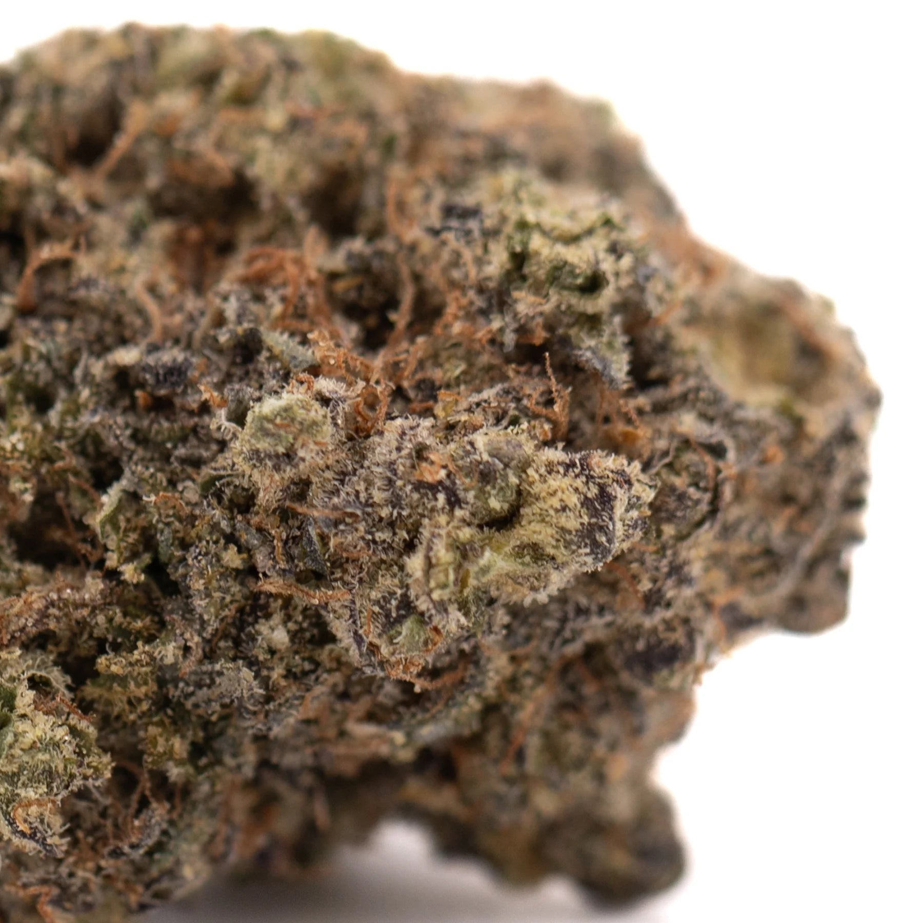 A dense, textured black amber indoor thca flower bud covered in green and brown trichomes with an irregular shape