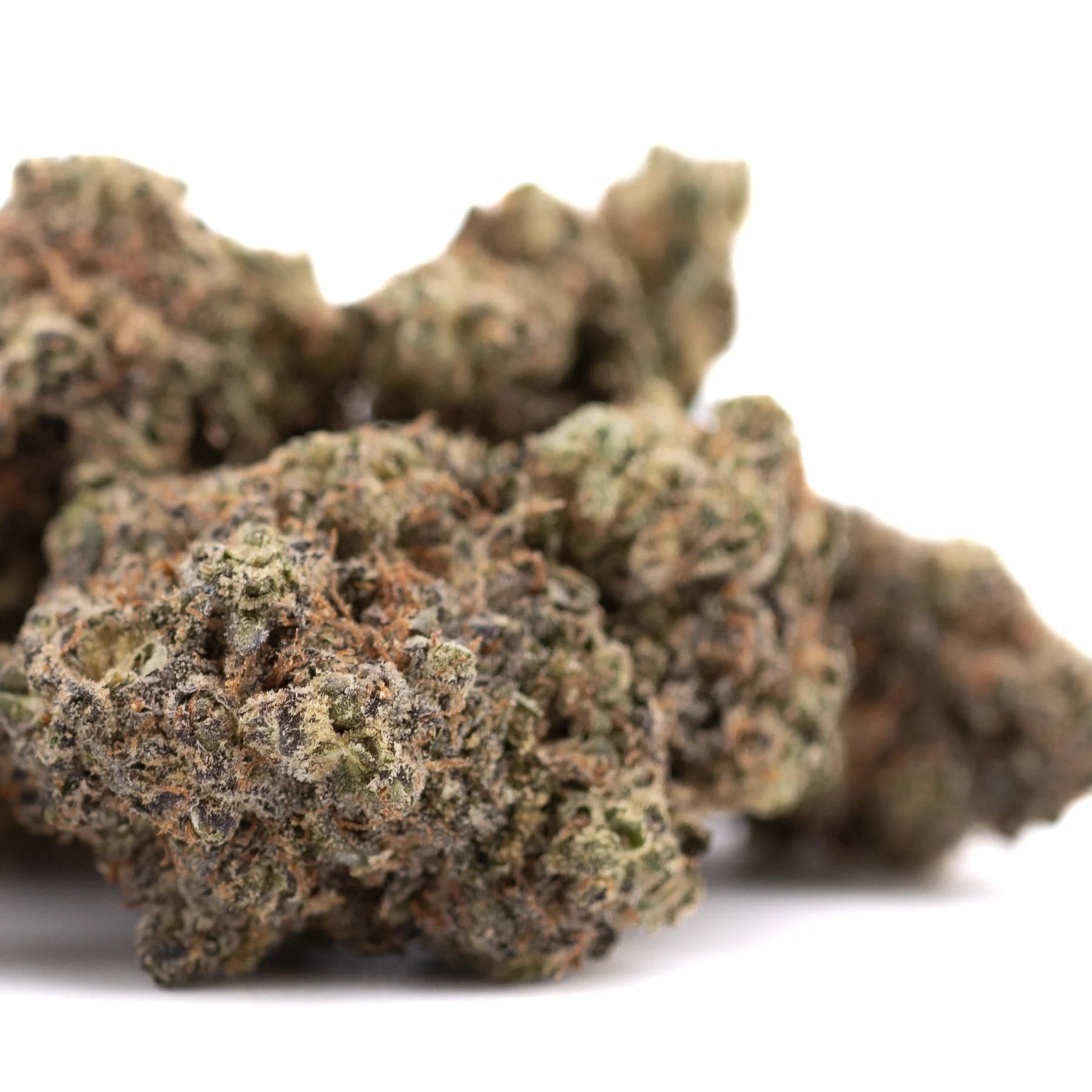 A dense resinous black amber indoor thca flower bud with green and brown hues covered in fine trichomes