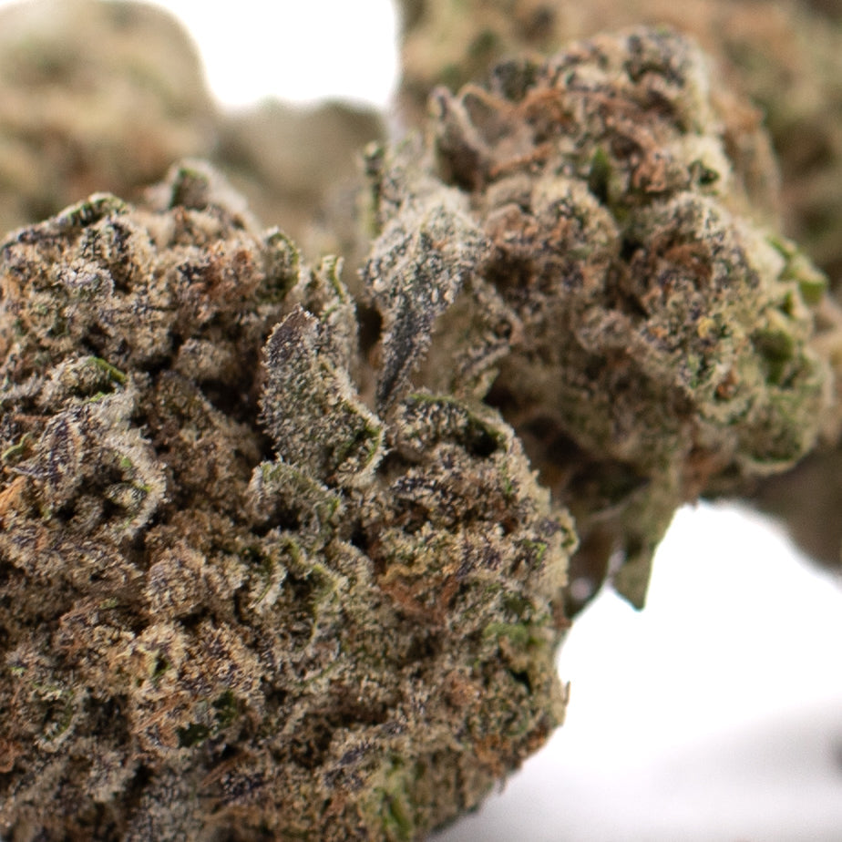 Black Ice THCa hemp flower bud with trichomes, green leaves, sweet berry aroma