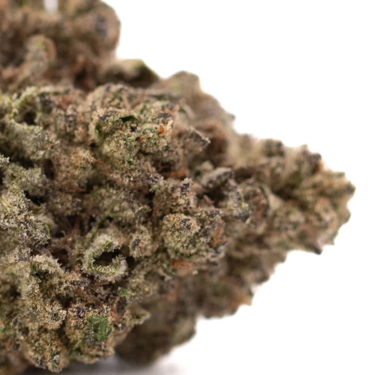 Black Ice THCa hemp flower bud with green hues, white trichomes, pinkish tones, Greenhouse label