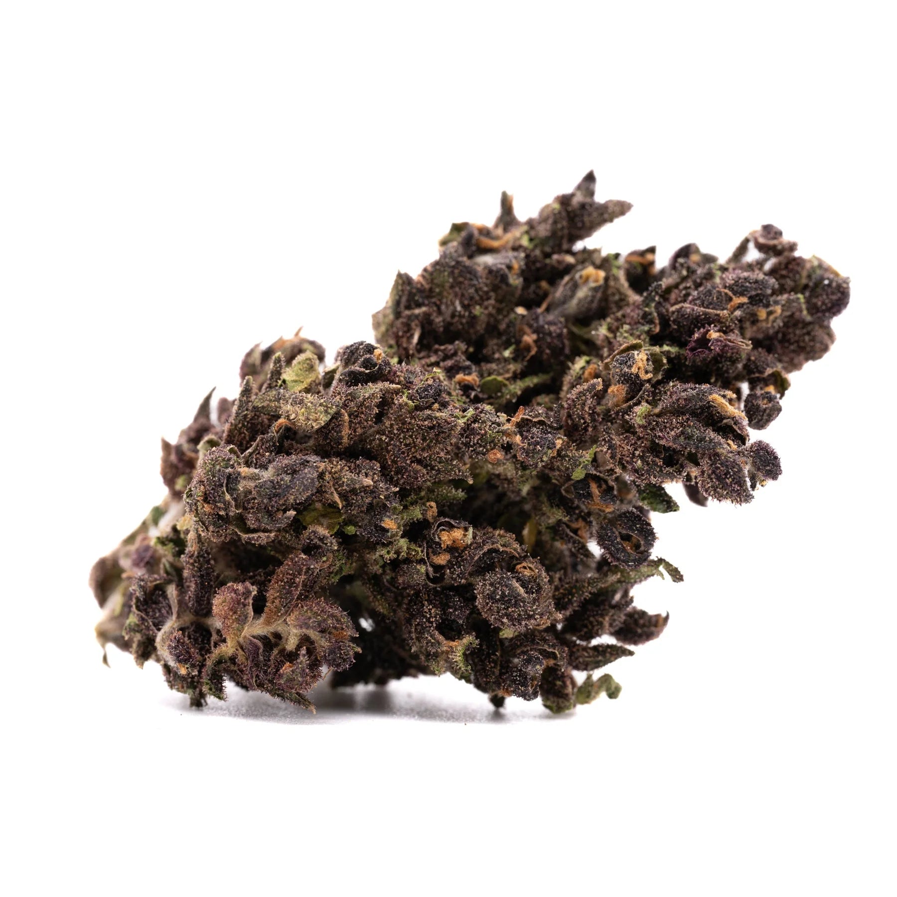 Black Lemon Cherry Gelato Indoor THCa Flower - Plants