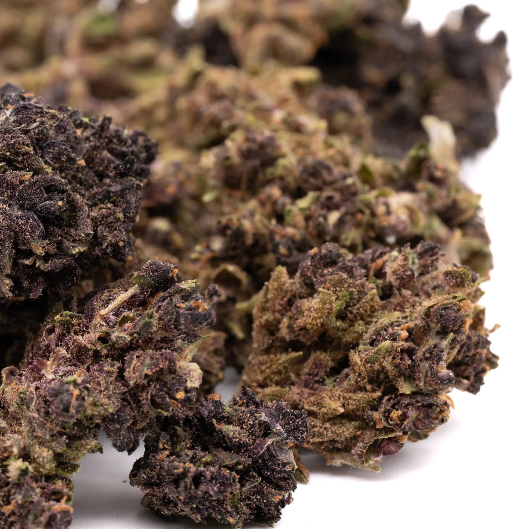 Black Lemon Cherry Gelato Indoor THCa Flower - Plants
