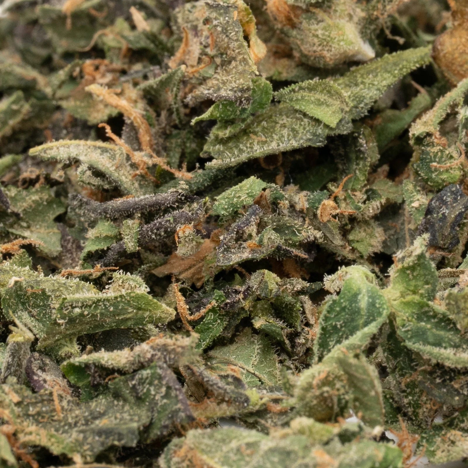 Black Lemon Cherry Gelato THCa trim with trichomes and green leaves