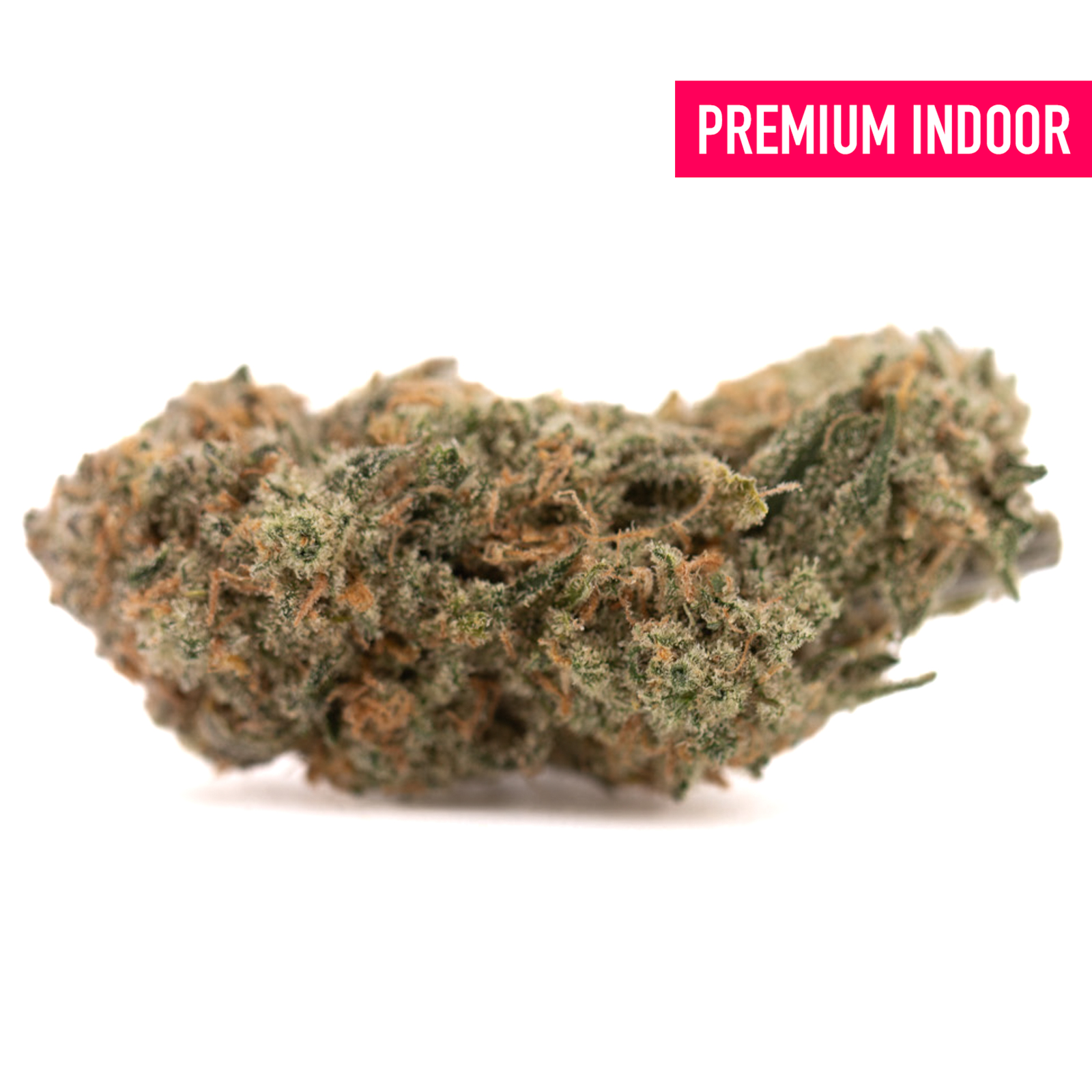 Blue Agave THCa flower with dense cannabis bud, trichomes, and orange pistils