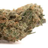 Blue Agave THCA flower with dense cannabis bud, trichomes, and orange pistils