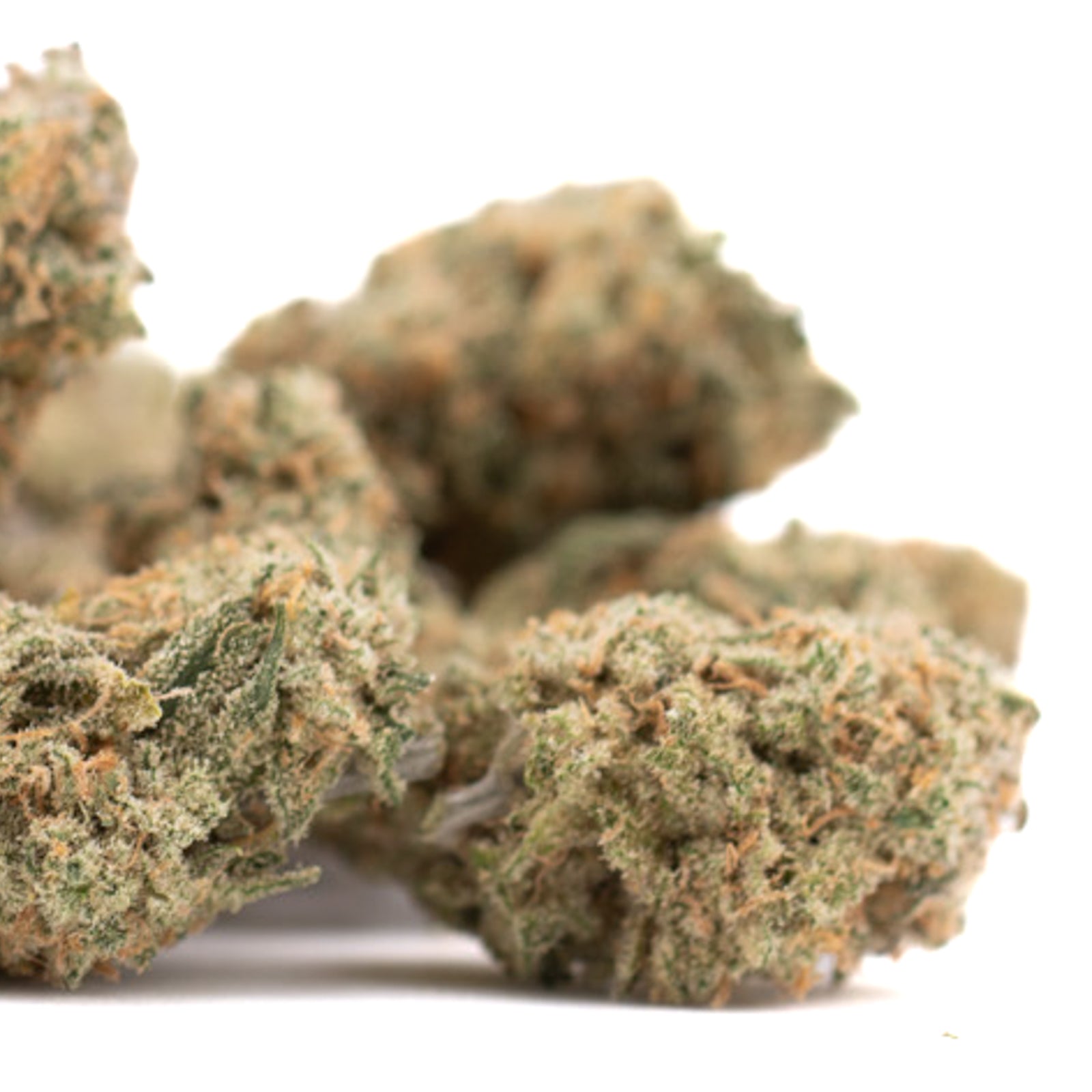 Blue Agave THCa Flower: dense green resinous indoor hemp flower with orange pistils