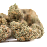 Blue Agave Indoor THCa Flower with dried light green cannabis buds and orange hairs