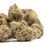 Blue Agave Indoor THCa Flower with dried light green cannabis buds and orange hairs
