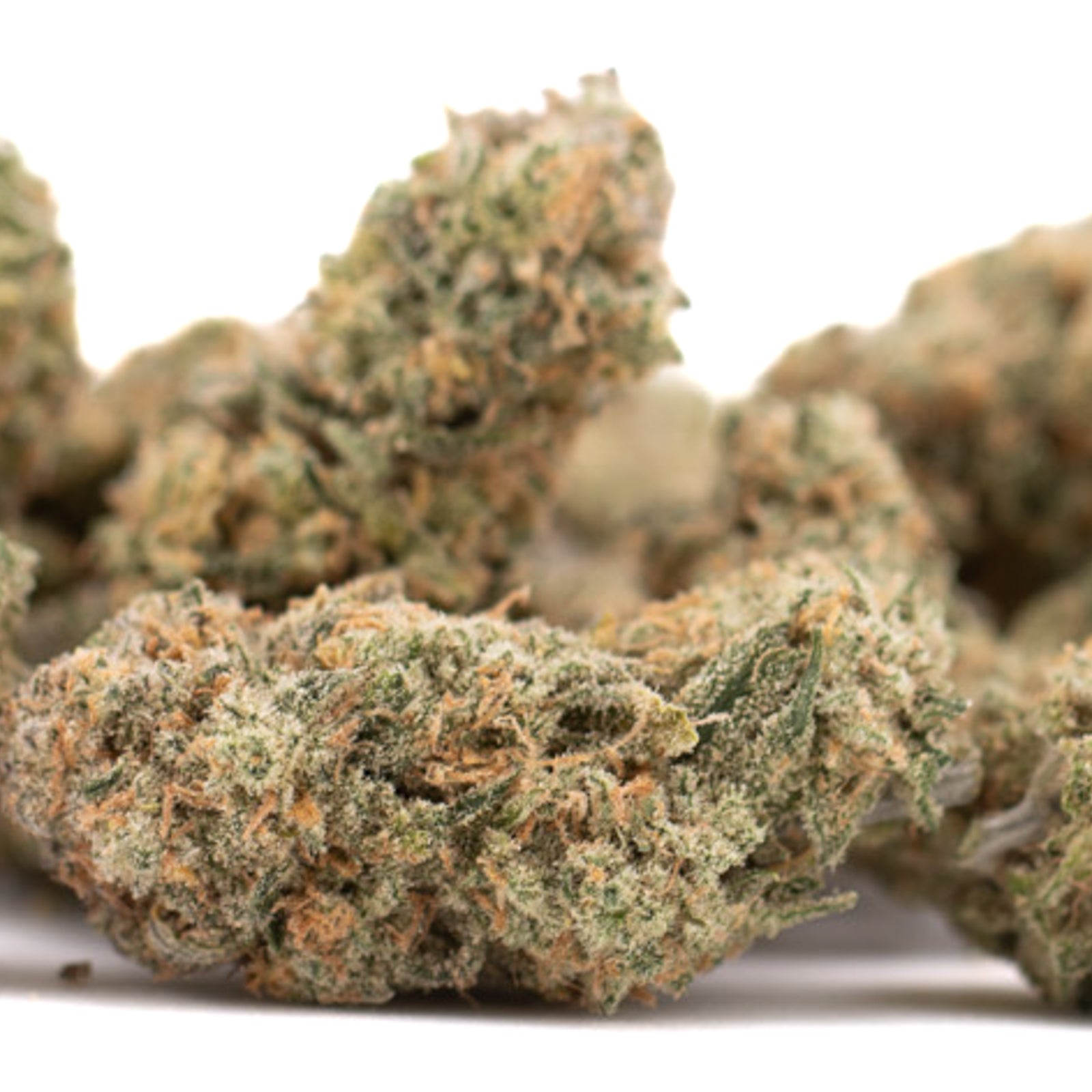 Blue Agave THCa flower showing dried indoor hemp buds with trichomes and orange hairs