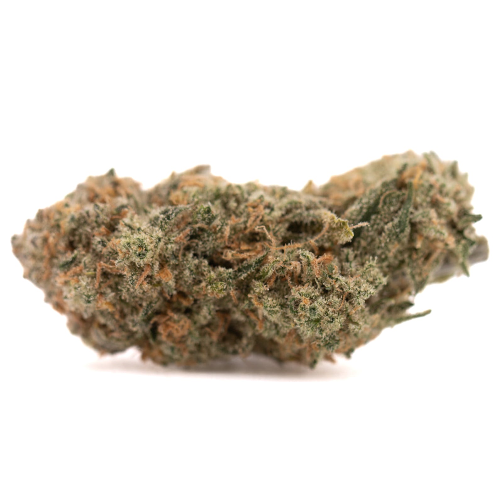 Blue Agave THCa Flower: Dense indoor hemp flower with orange hairs and frosty trichomes