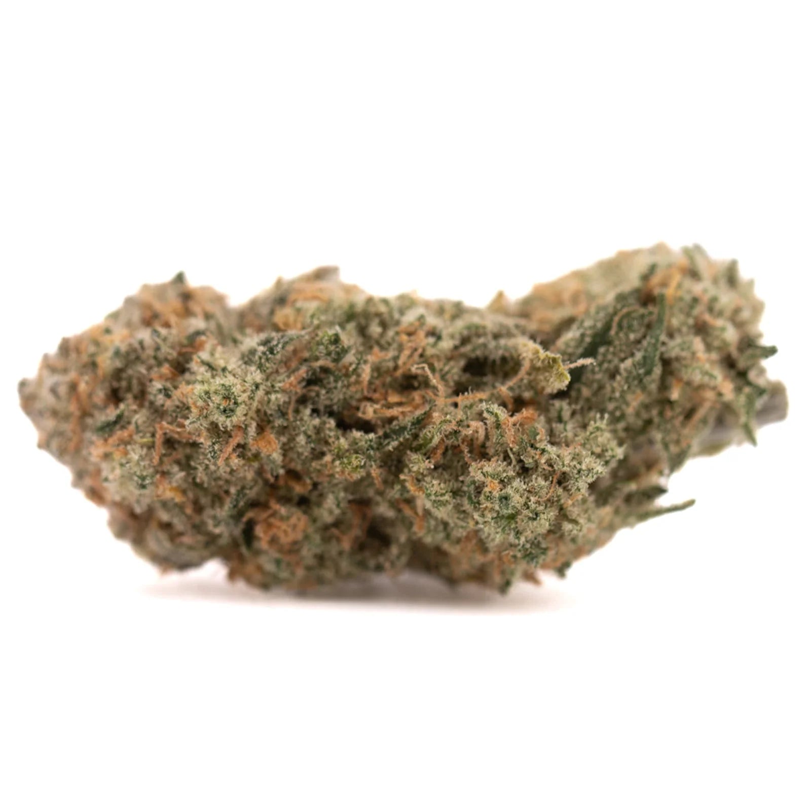 Blue Agave THCa Flower: Dense indoor hemp flower with orange hairs and frosty trichomes