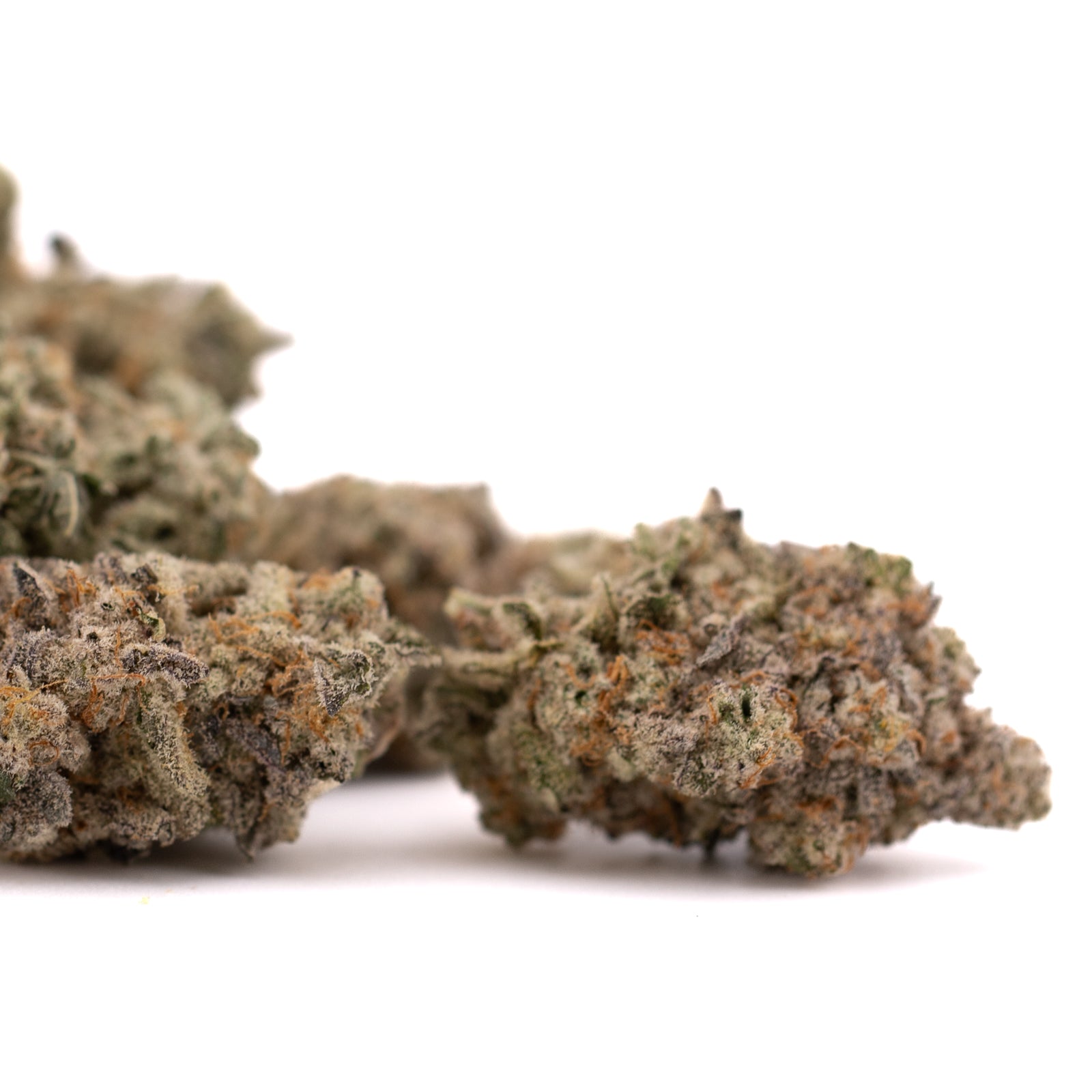 Dried Blue Cookies THCa Indoor Flower cannabis buds for premium cookies THCa indoor experience