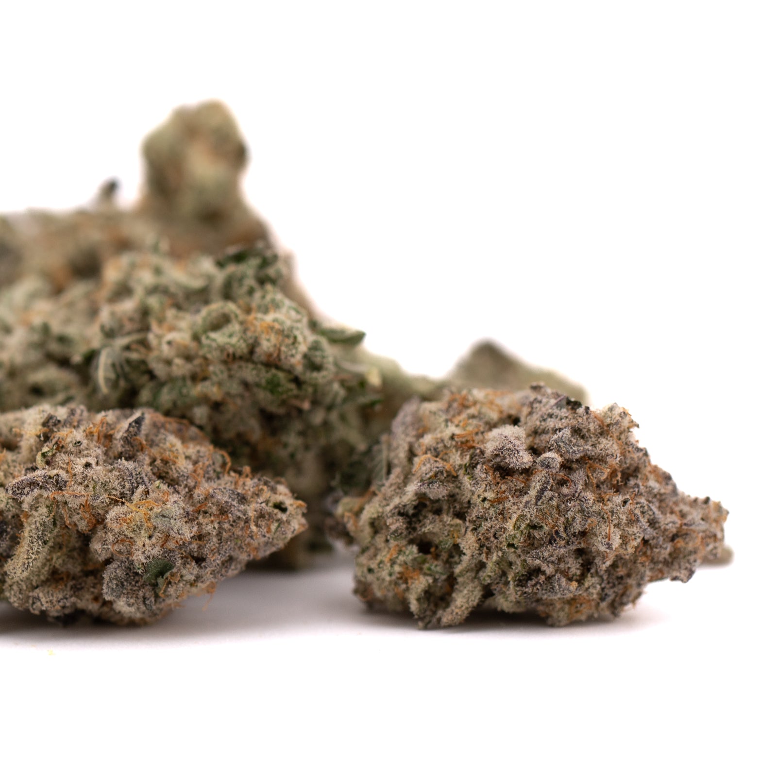 Dried Blue Cookies THCa Indoor Flower buds for premium cookies THCa indoor experience