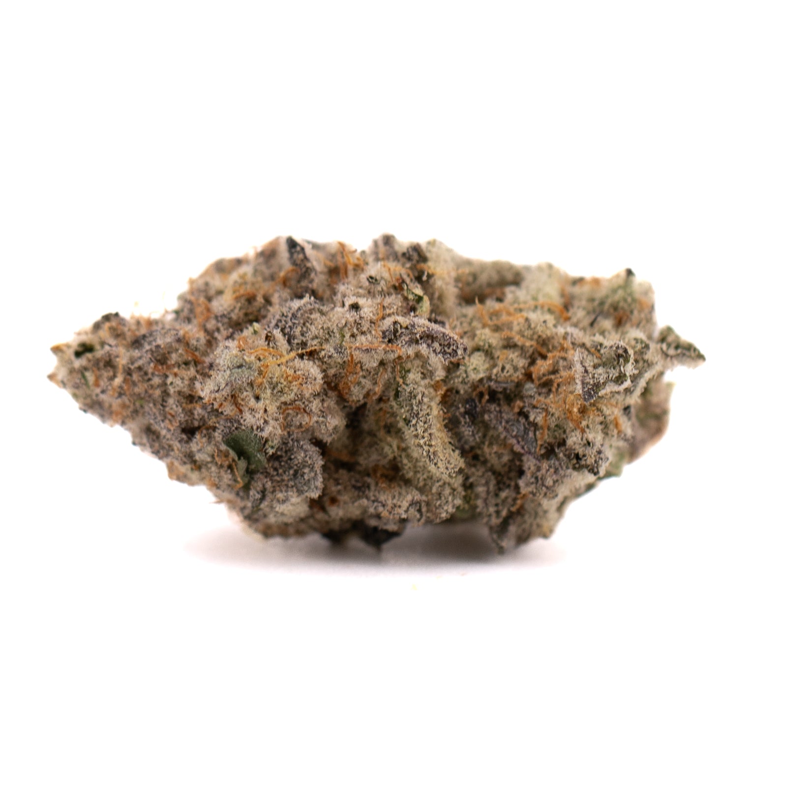 Blue Cookies THCa Indoor Flower: Dense cannabis bud with trichomes and orange pistils