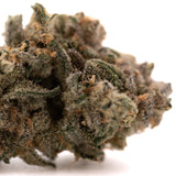 Close-up of Blue Dream THCa Flower indoor hemp with dense trichomes and vibrant colors