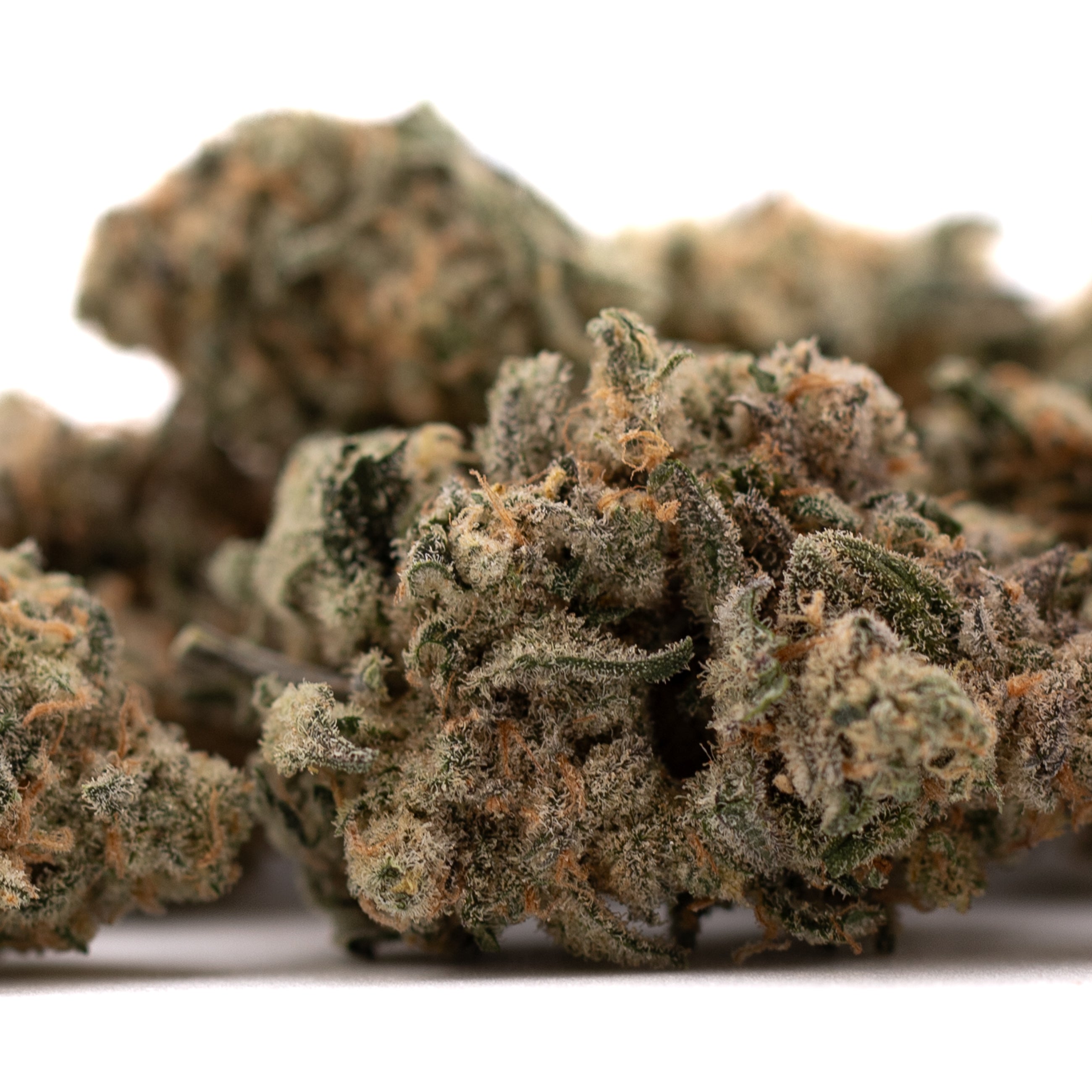 Close-up of Blue Dream THCa Flower with trichomes, orange hairs, and green-purple hues