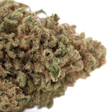 Dense green and brown blue dream’s hemp flower bud covered in fine white trichomes greenhouse THCa product