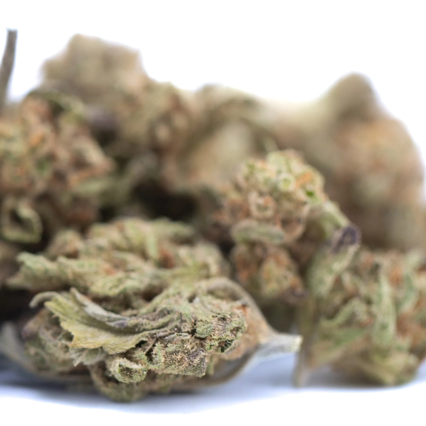 A cluster of blue dream thca hemp flower greenhouse smalls with green and brown dried blueberry indica buds and trichomes