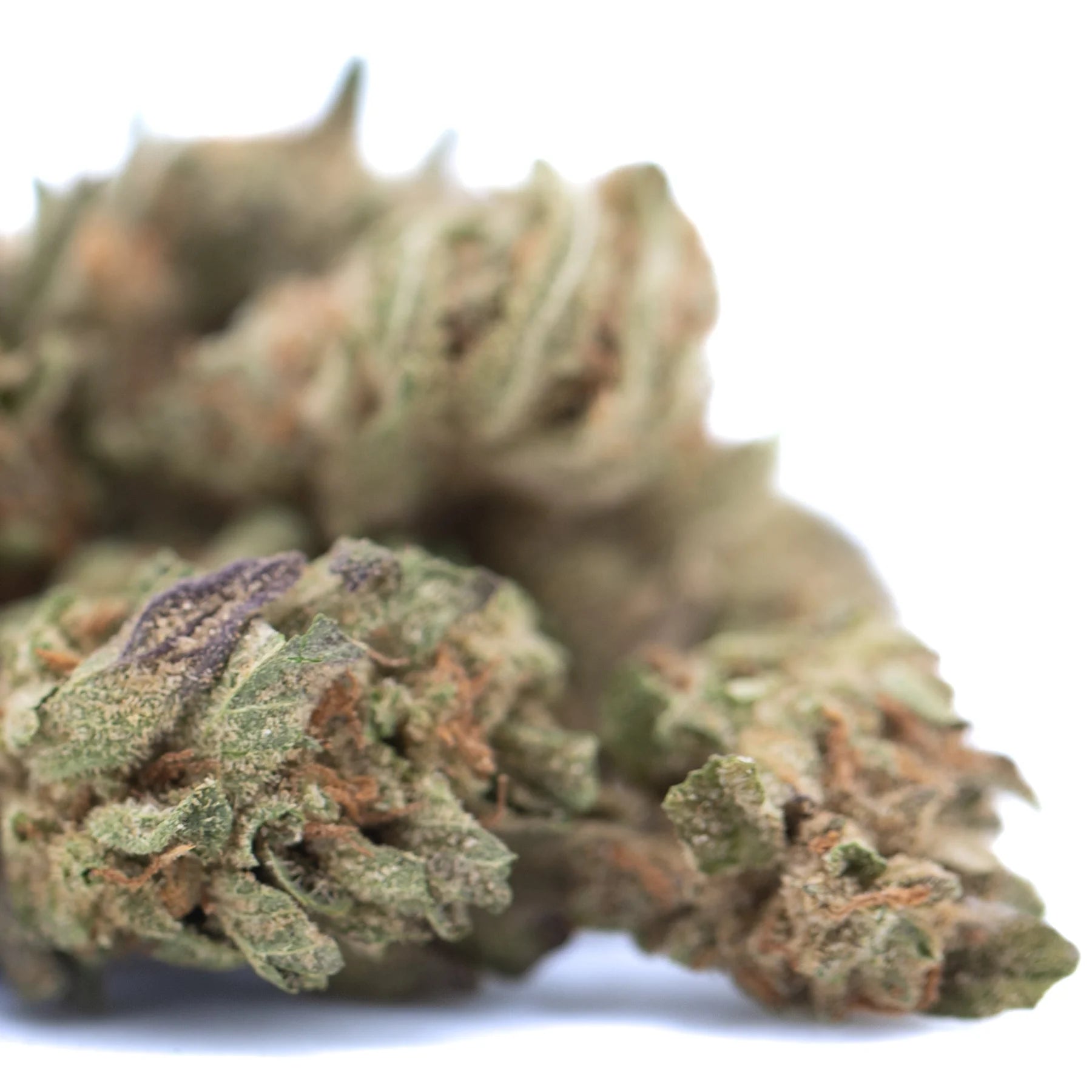 indoor blue dream plant Blue Dream THCa Hemp Flower Greenhouse Smalls