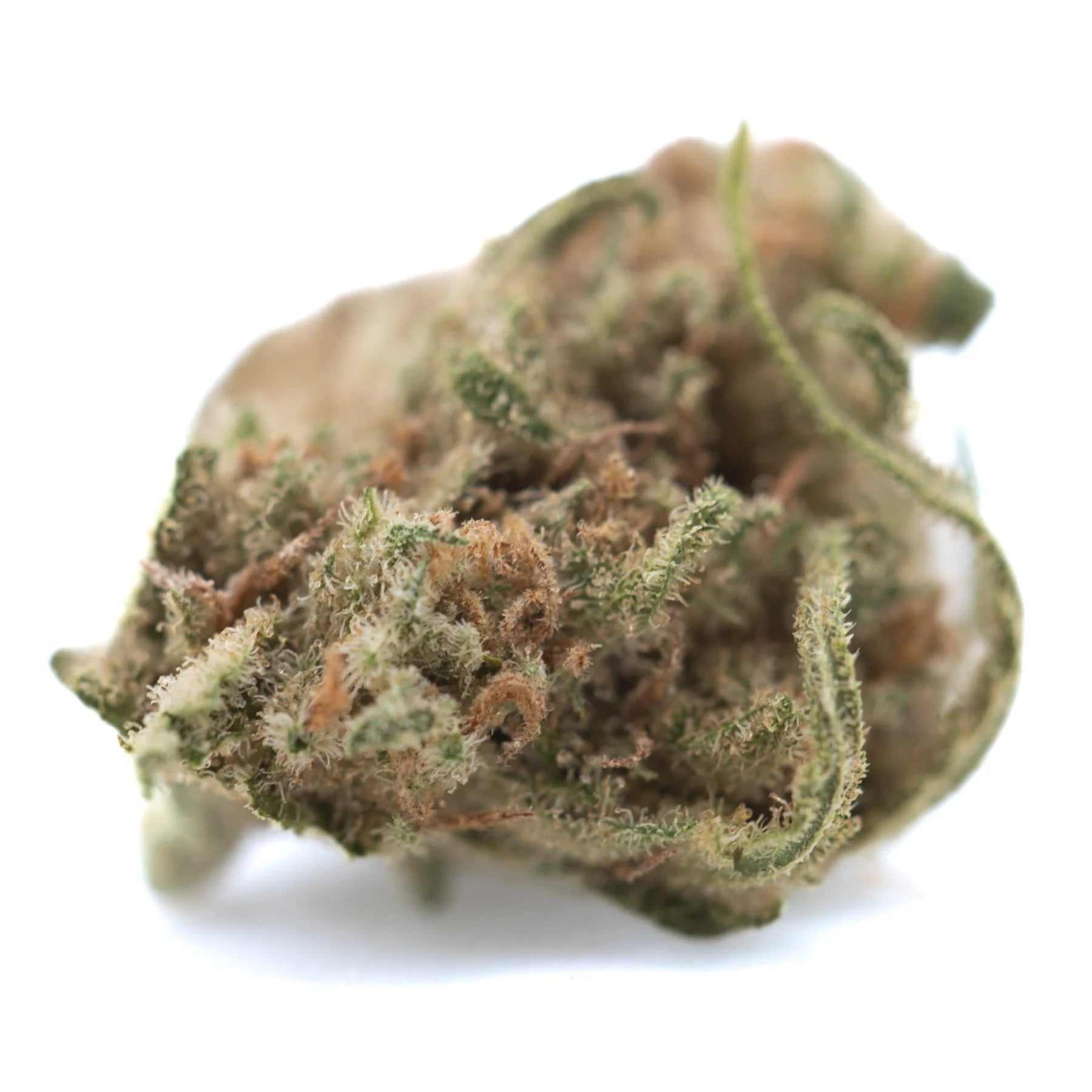 A dense blue dream thca hemp flower bud with green and brown hues covered in fine trichomes, blueberry indica strain