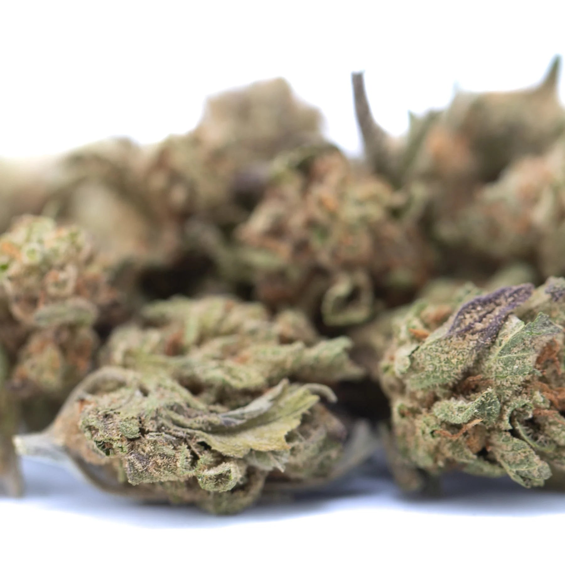 Dried blue dream thca hemp flower buds with green brown and purple hues blueberry indica greenhouse smalls