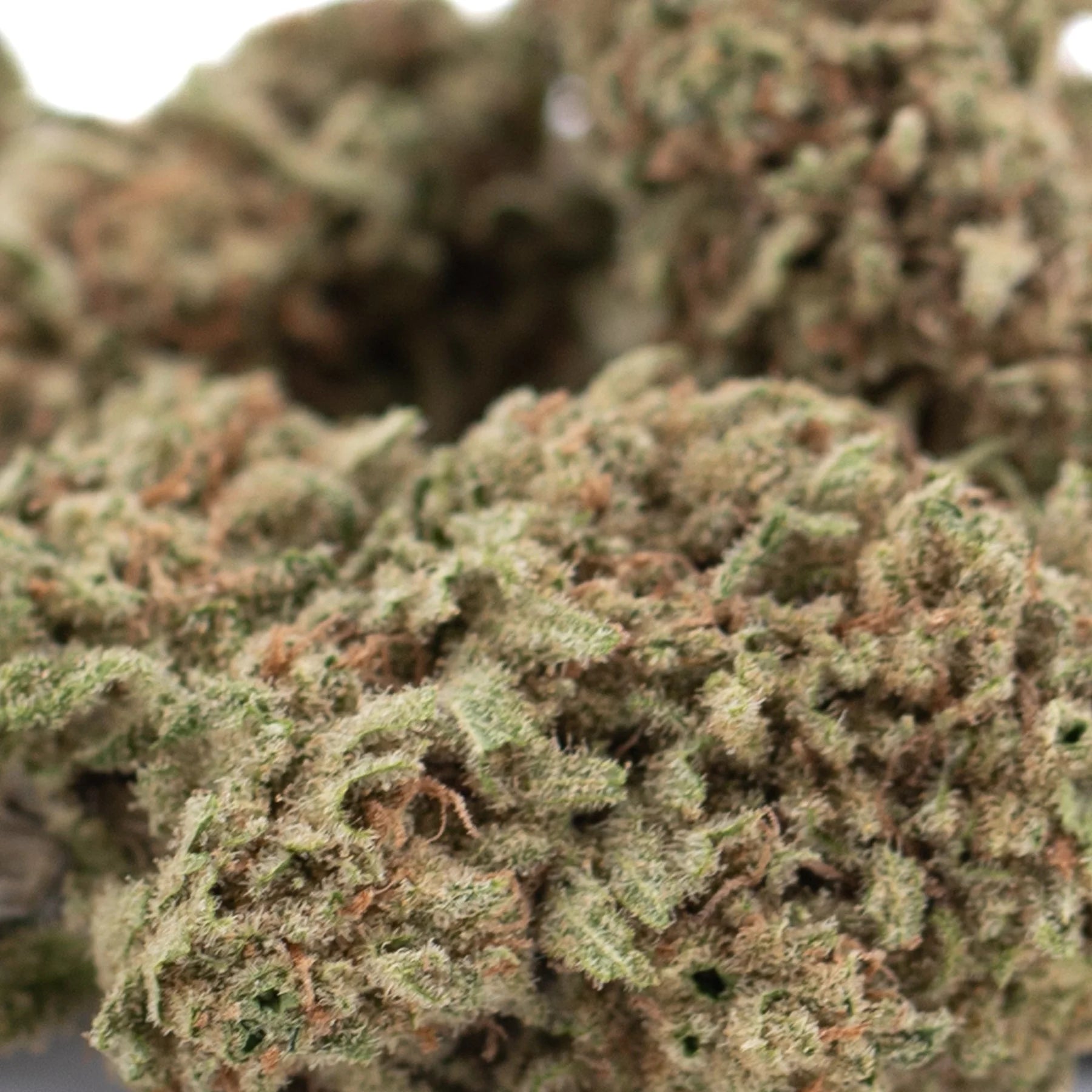 A dense green legendary blue dream thca hemp flower with fuzzy texture and orange pistils for mainstream accessibility
