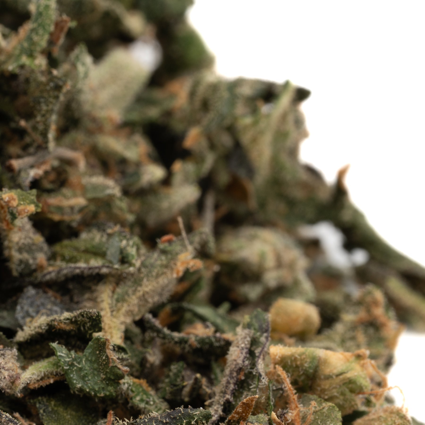 Blue Dream THCa Indoor Trim wholesale hemp flower with dried ground cannabis and trichomes