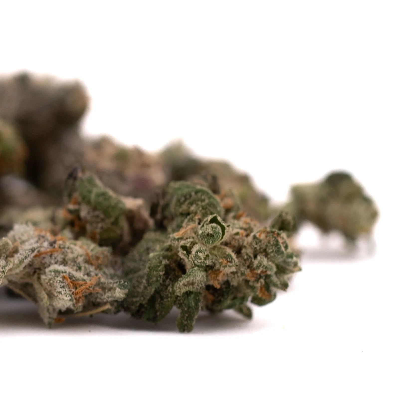 Dried Blue Heron’s THCA Indoor Flower Smalls with trichomes and orange hairs
