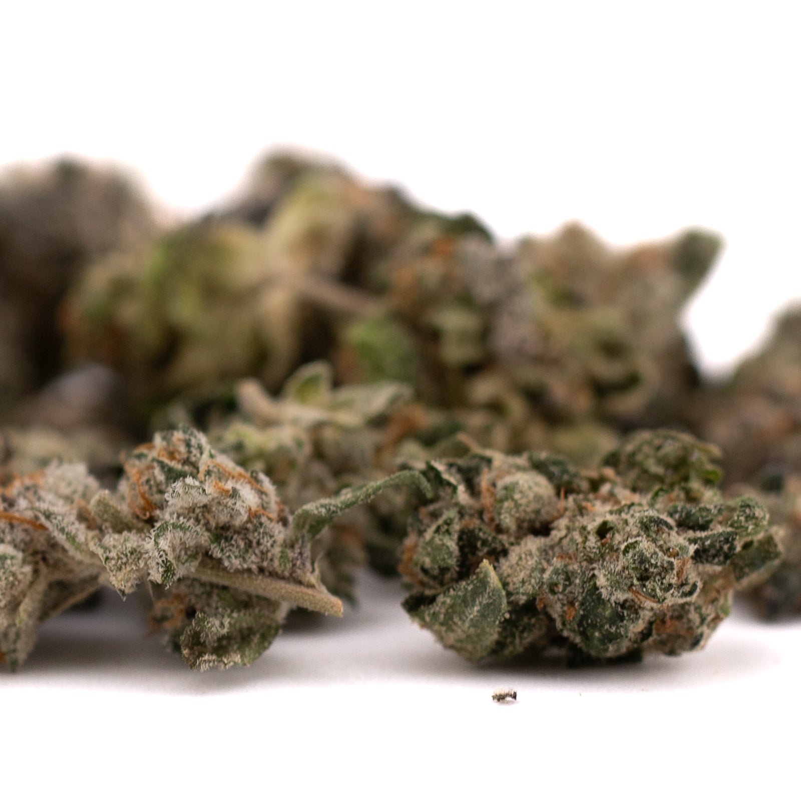 Dried cannabis buds from Blue Heron Indoor THCa Flower Smalls with orchard swirl synergy