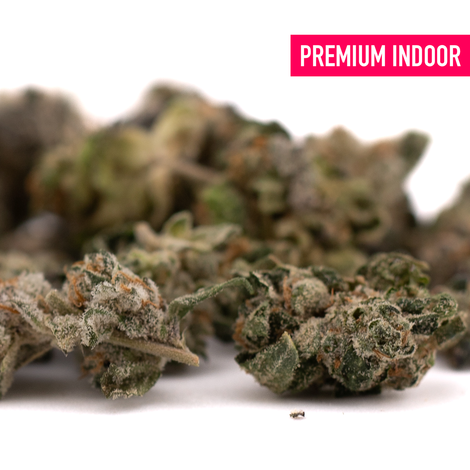 Premium indoor cannabis buds from Blue Heron’s THCA Indoor Flower Smalls featuring orchard swirl synergy