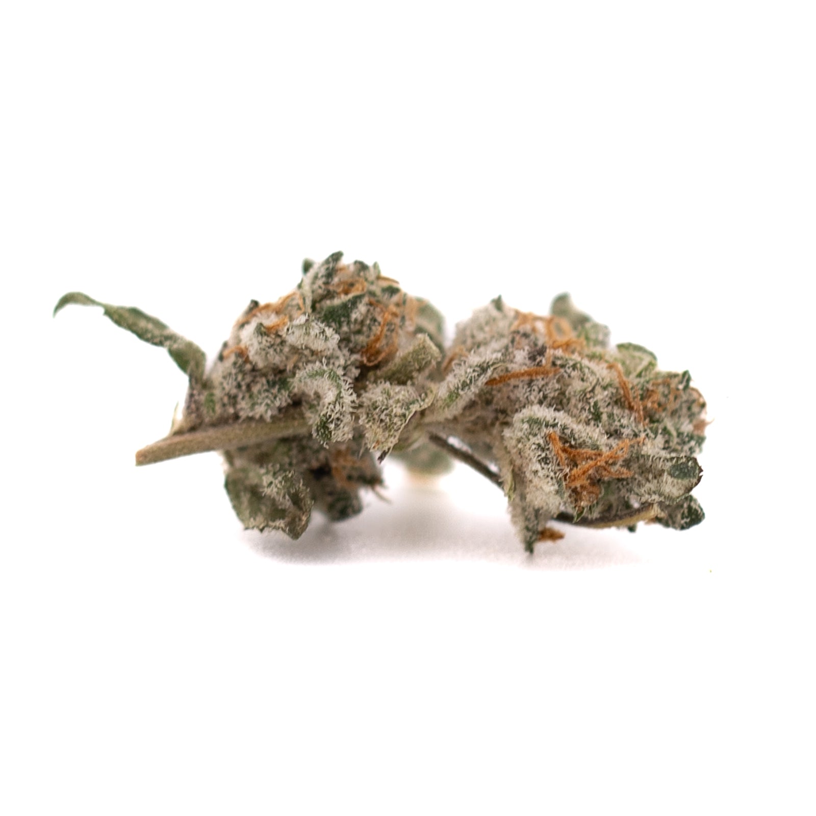 Dried Blue Heron’s THCA Indoor Flower Smalls with orchard swirl synergy cannabis buds