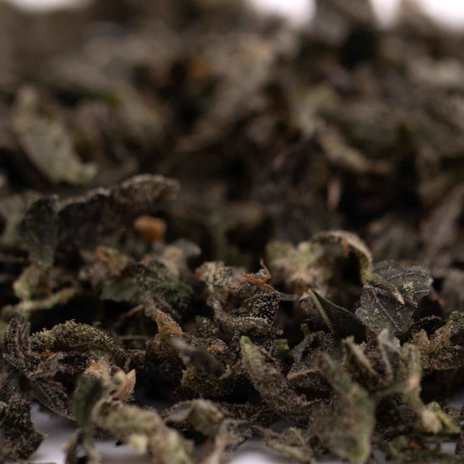 Dried dark green loose leaf tea with brown specks for Blue Heron Indoor Trim Wholesale 1LB