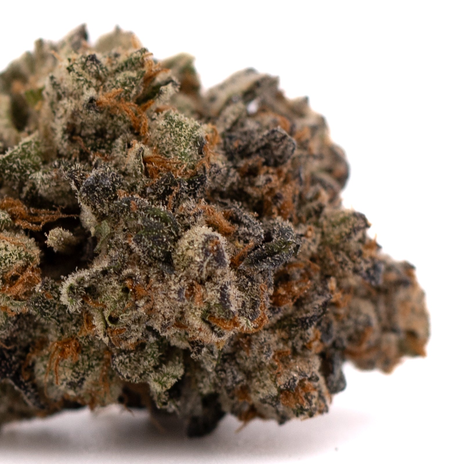 Blue Heron THCa Flower with dense trichome-covered cannabis bud and orange pistils