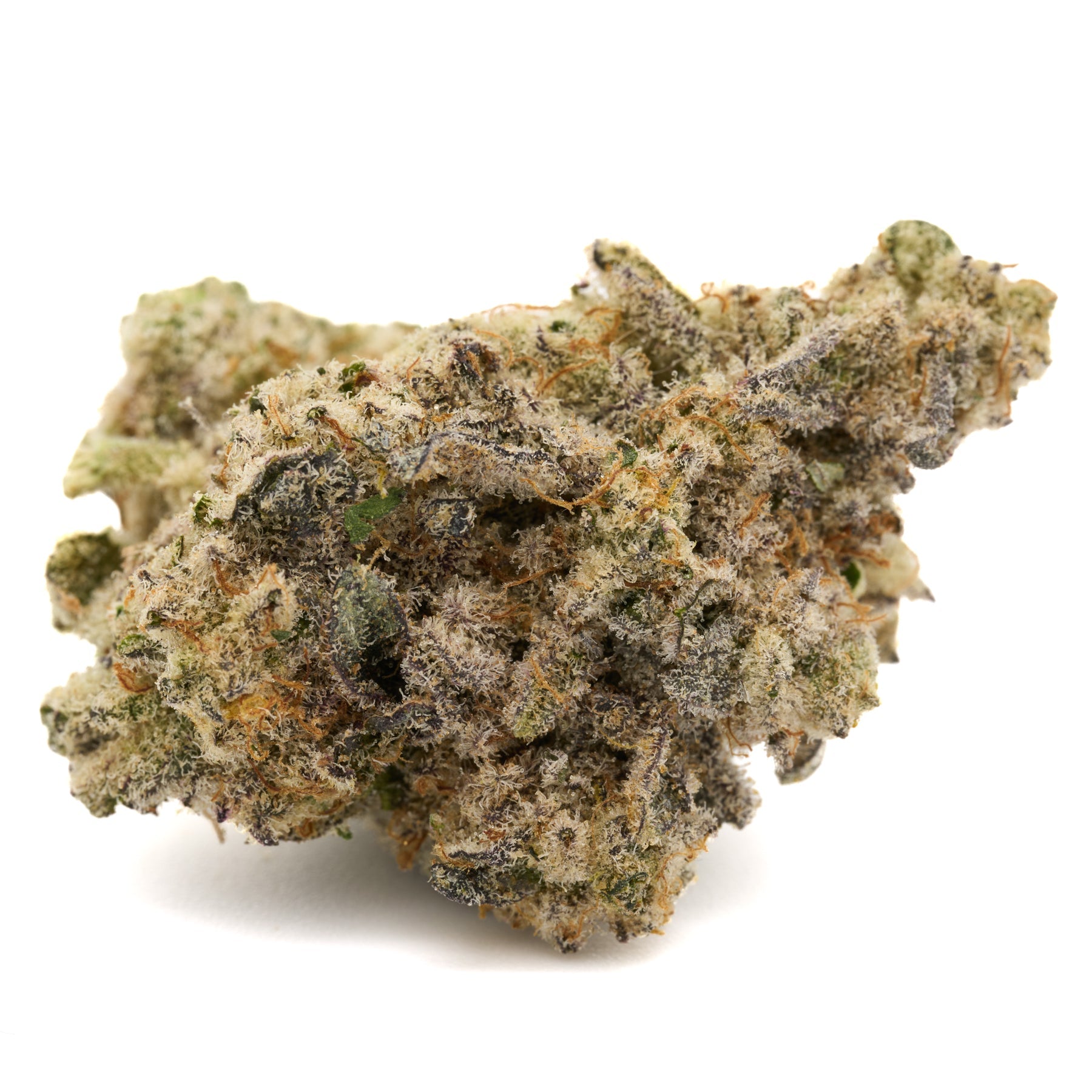 Dense frosty Blue Muffin Indoor THCa Flower with orange hairs and visible trichomes