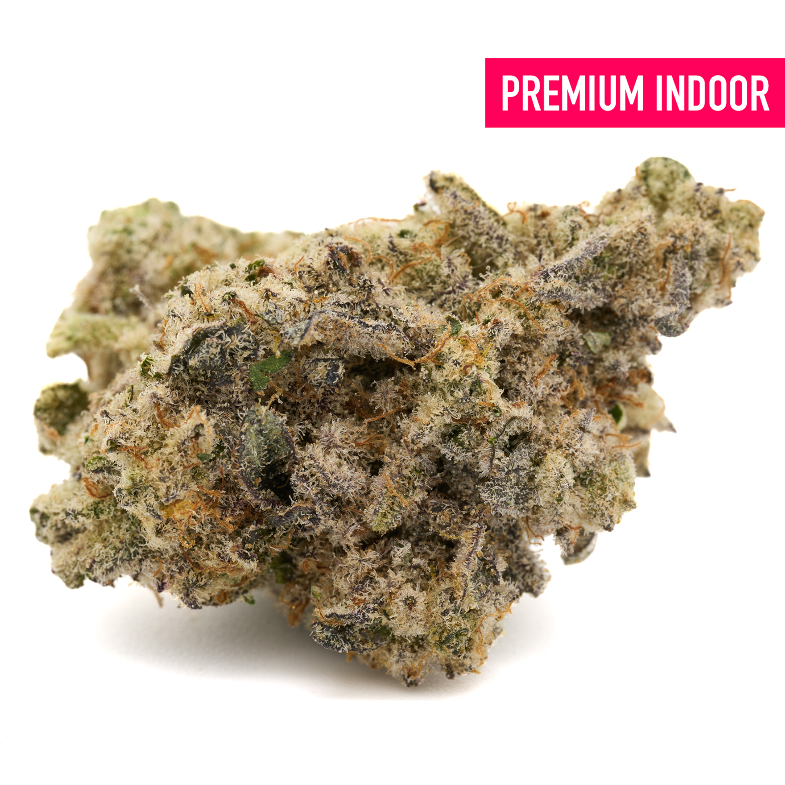 Dense purple and green Blue Muffin Indoor THCa Flower with trichomes and orange hues