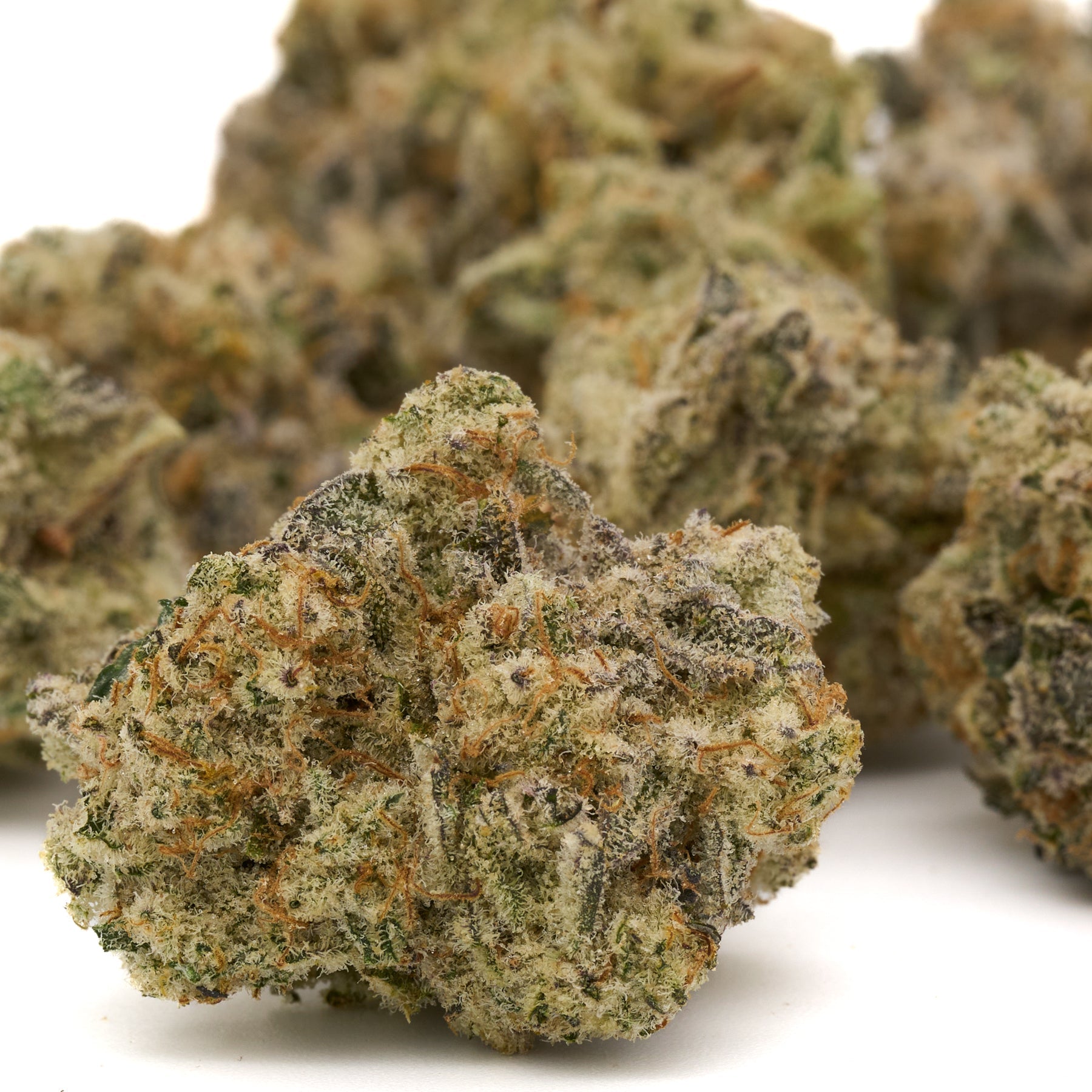 Dried Blue Muffin Indoor THCa Flower with trichomes and orange hairs, perfect for cannabis connoisseurs
