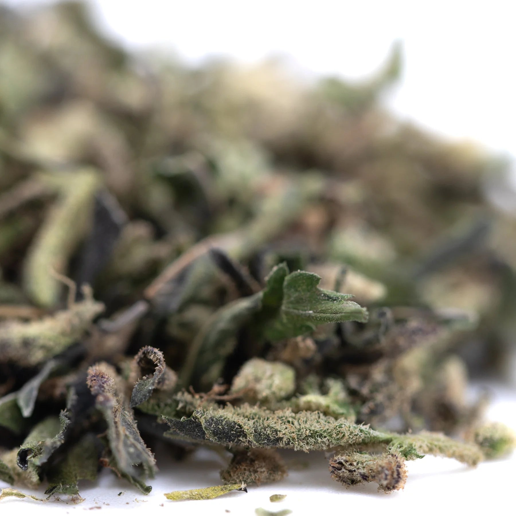 Dried green and brown fuzzy cannabis leaves from blue sugar’s greenhouse thca trim for sugar cookies product wholesale