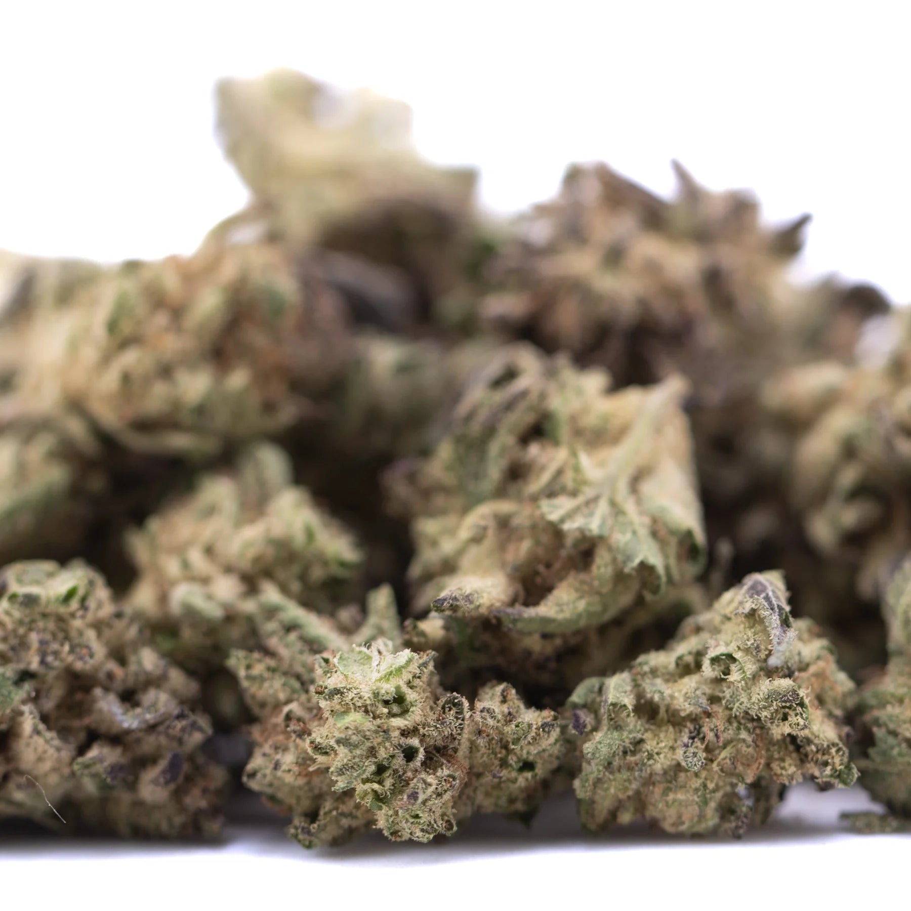 A pile of blue sugar hemp flower greenhouse smalls with dried green brown and purple sugar cookies buds