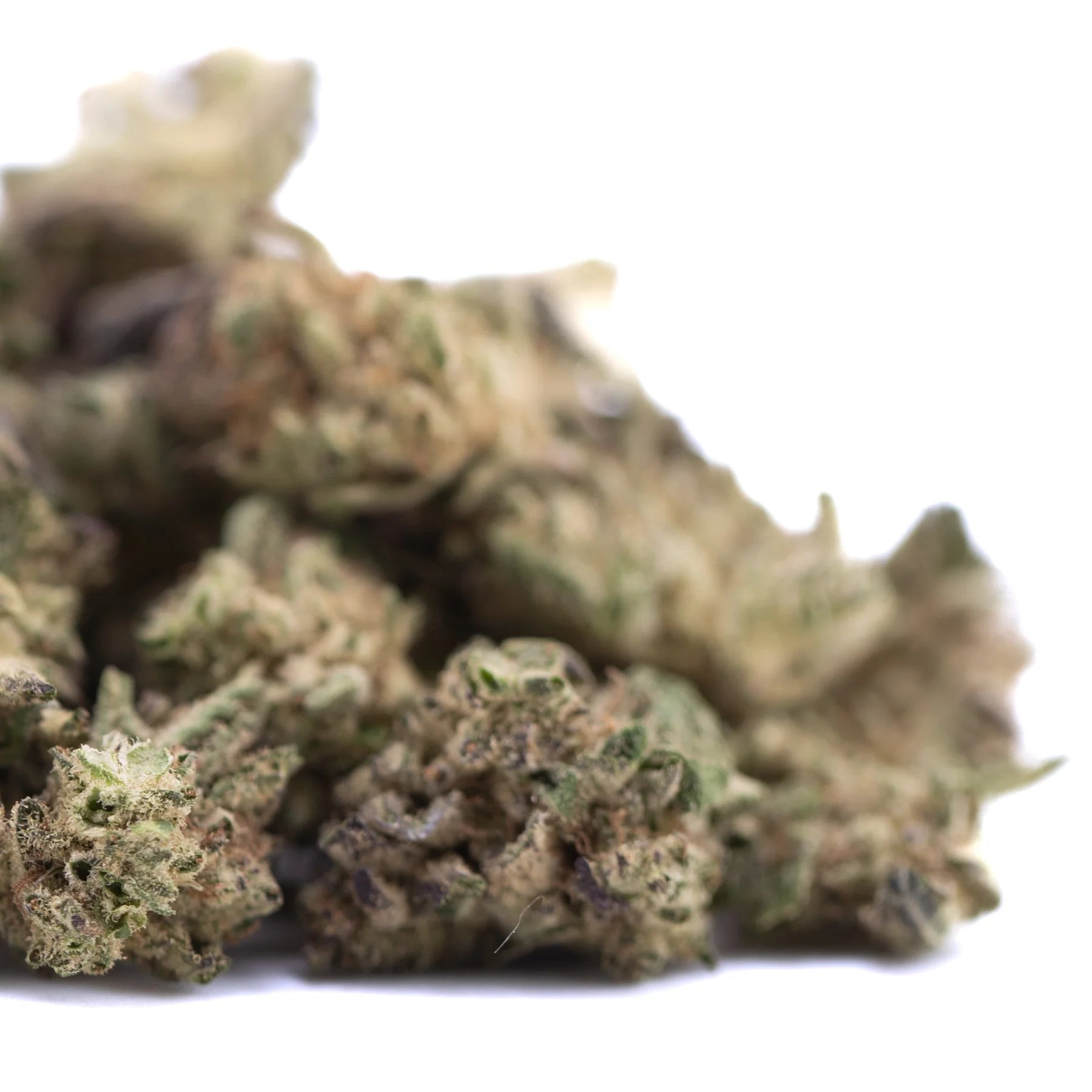 Blue sugar hemp flower greenhouse smalls dense resinous bud with green and brown hues covered in fine trichomes