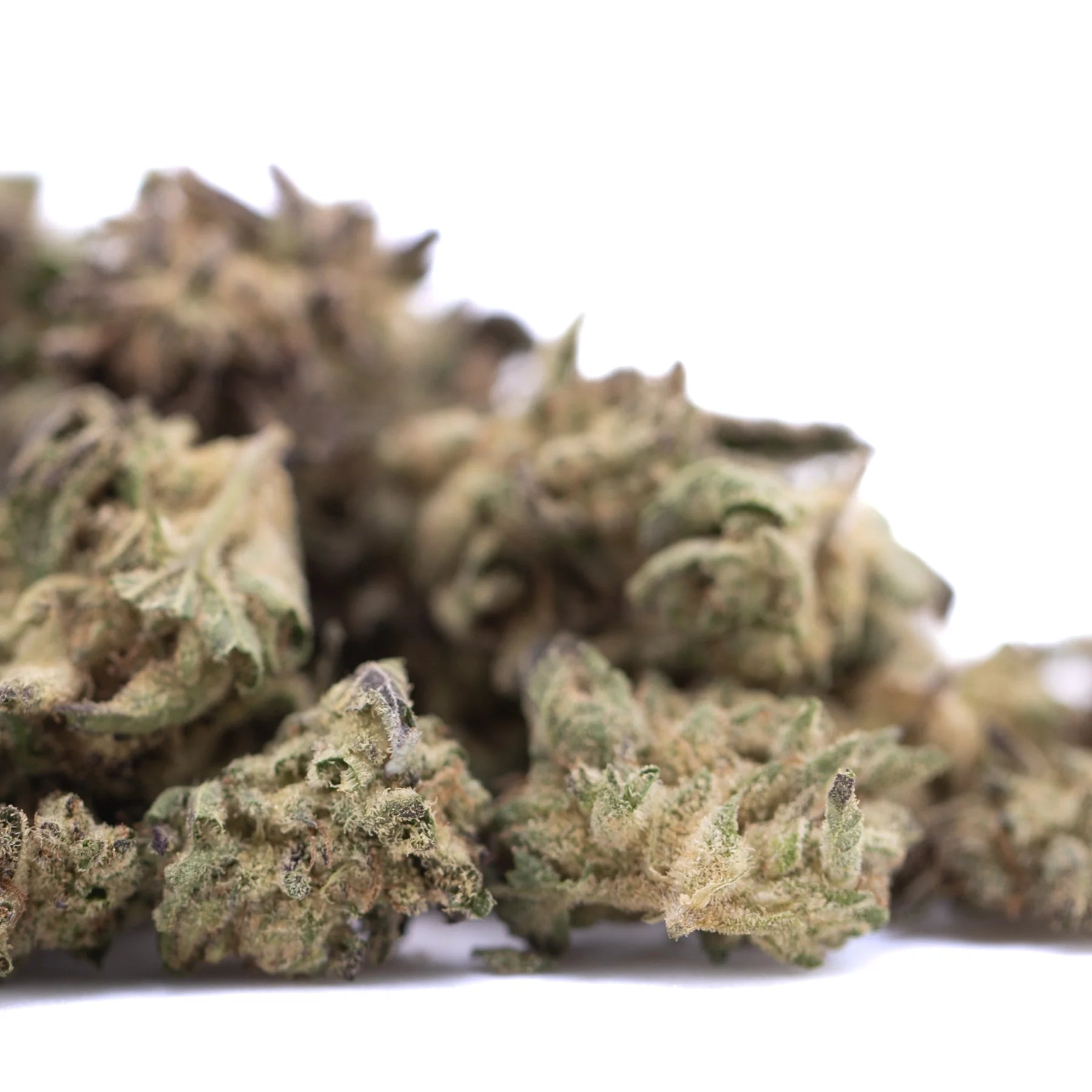 A dense green and brown blue sugar hemp flower bud covered in trichomes from sugar cookies greenhouse smalls