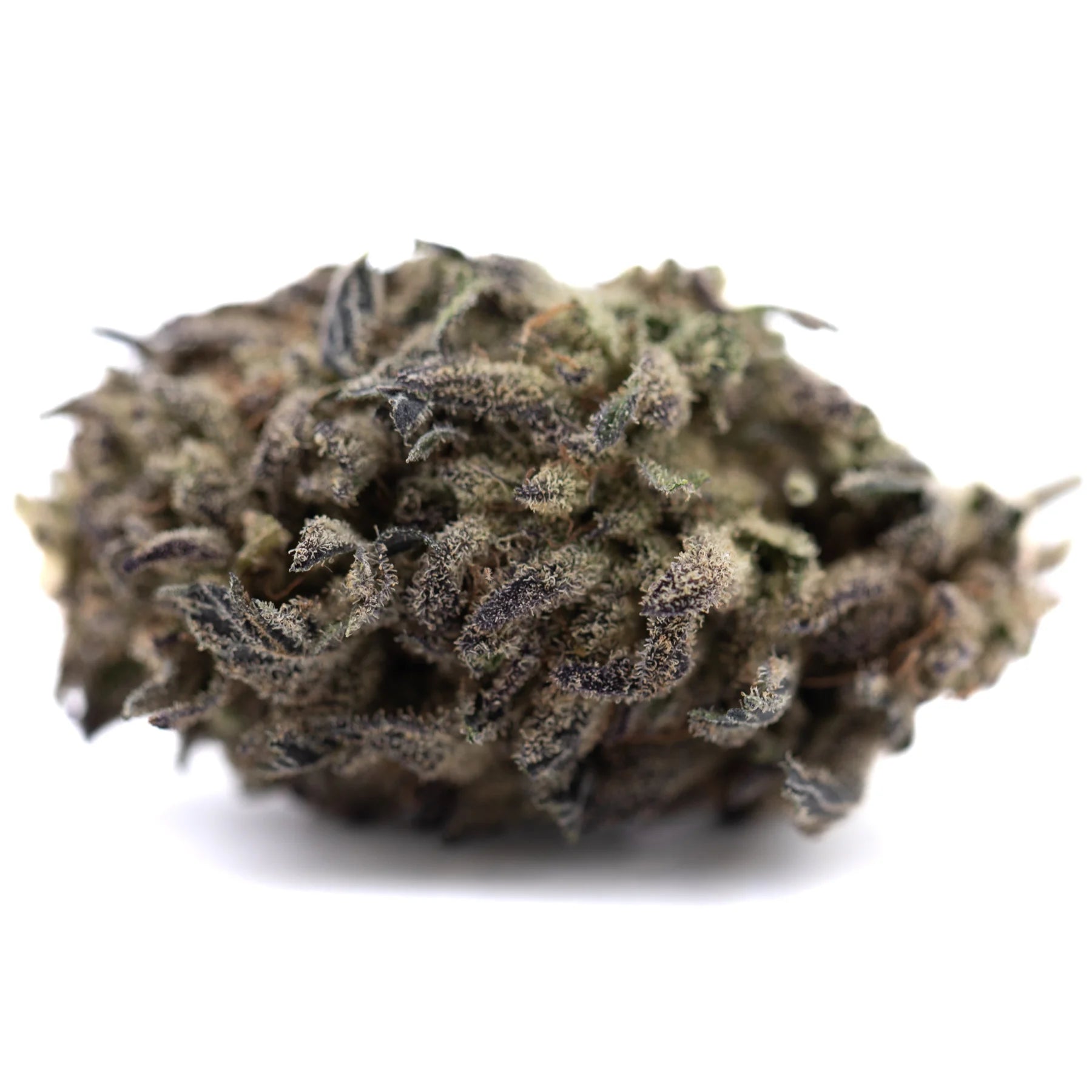 A dense blue sugar thca flower with green and purple hues covered in trichomes from premium greenhouse hemp