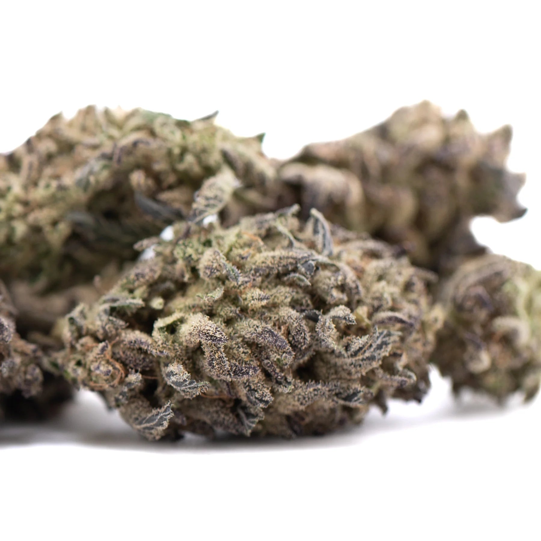 Dried blue sugar thca flower with dense trichomes and greenish-brown hues premium greenhouse legendary blueberry hemp buds