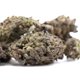 Dried blue sugar thca flower with dense trichomes and greenish-brown hues premium greenhouse legendary blueberry hemp buds